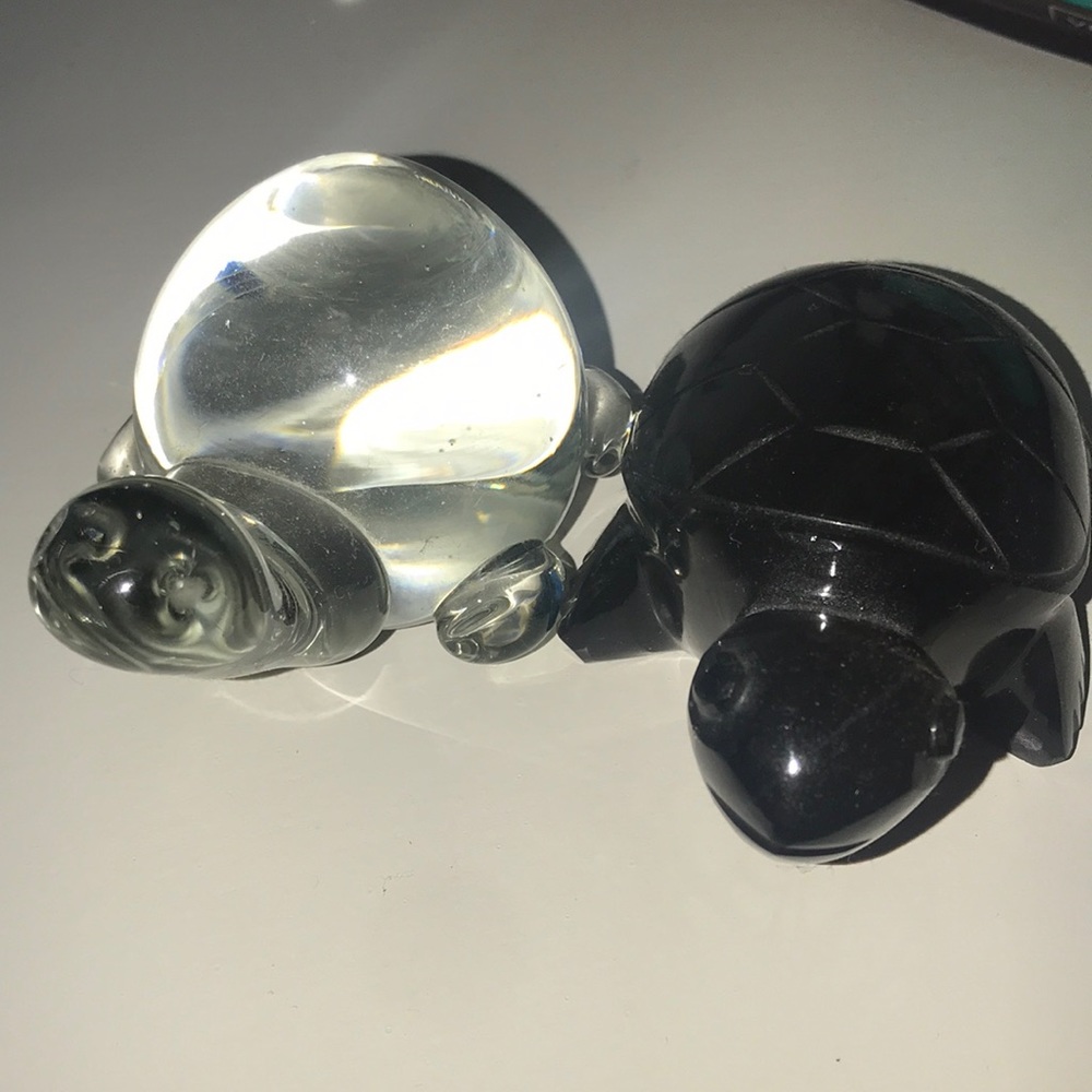 Glass turtle bundle 🐢